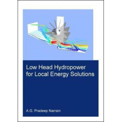 Low Head Hydropower for Local Energy Solutions