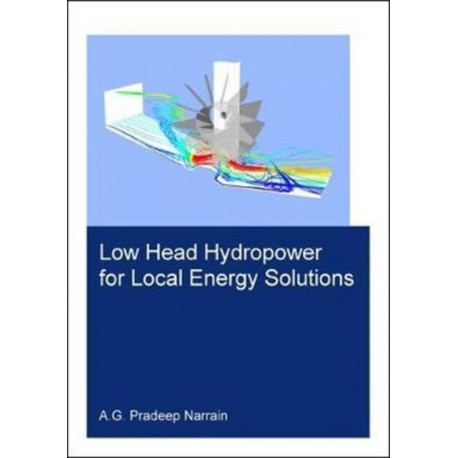 Low Head Hydropower for Local Energy Solutions