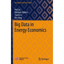 Big Data in Energy Economics