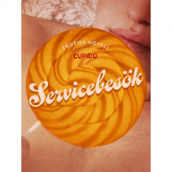Servicebesök - erotisk novell