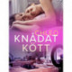 Knådat kött – erotisk novell