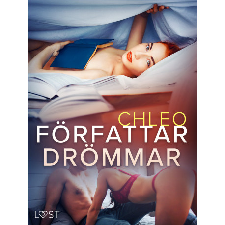 Författardrömmar – erotisk novell