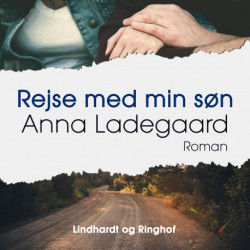 Rejse med min søn