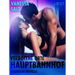 Verbotene Orte - Hauptbahnhof: Erotische Novelle