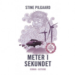 Meter i sekundet