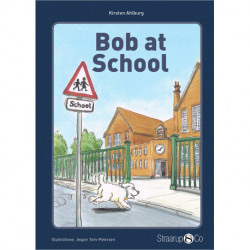 Bob at School