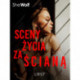 Sceny życia za ścianą – opowiadanie erotyczne