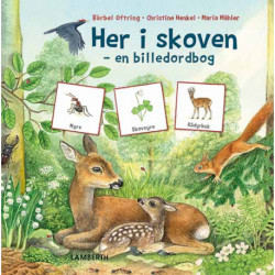 Her i skoven: en billedordbog