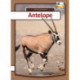 Antelope