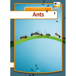 Ants