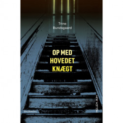 Mellem_rum. Op med hovedet knægt