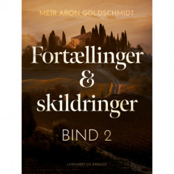 Fortællinger og skildringer (bind 2)
