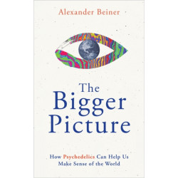 The Bigger Picture: How Psychedelics Can Help Us Make Sense of the World