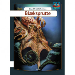 Blæksprutte