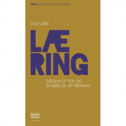 Læring: Søgen efter og skabelse af mening