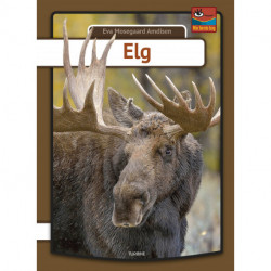 Elg