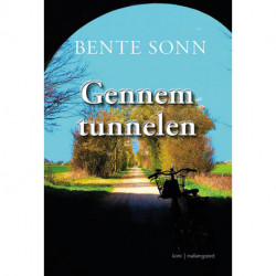 Gennem tunnelen