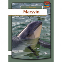 Marsvin