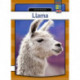 Llama
