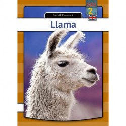 Llama