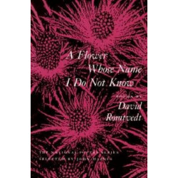 A Flower Whose Name I Do Not Know