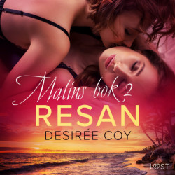 Resan - Malins bok 2