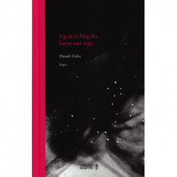 Jeg så en bleg sky, hørte sort regn