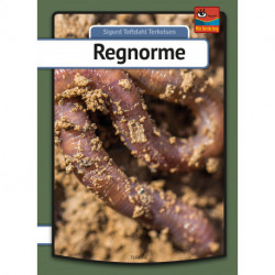 Regnorme