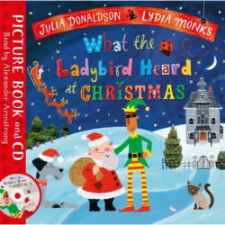 What the Ladybird Heard at Christmas