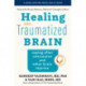 Healing the Traumatized Brain: Coping after Concussion and Other Brain Injuries