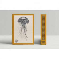 GRAFIK 1998-2022 (DK)