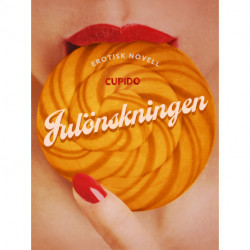 Julönskningen - erotisk novell