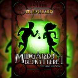 Midgårds Beskyttere 1: Vølvens Spådom