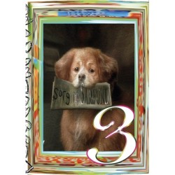 Sorg og Samfund nr. 3: Tidsskrift for poesi og mode