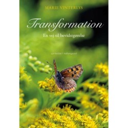 Transformation: En vej til bevidstgørelse