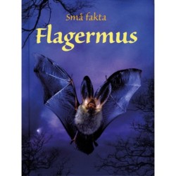 Flagermus