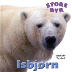 Isbjørn