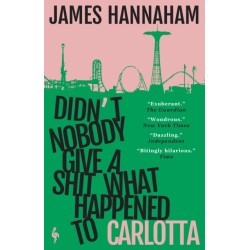 Didn't Nobody Give a Shit What Happened to Carlotta: A novel
