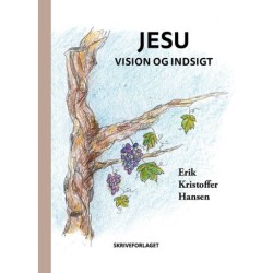 Jesu vision og indsigt