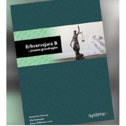 Erhvervsjura B: juraens grundregler