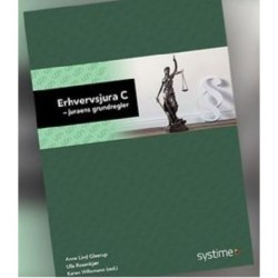 Erhvervsjura C: juraens grundregler