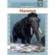Mammut