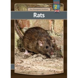 Rats