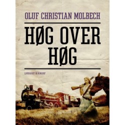 Høg over høg