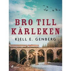 Bro till kärleken