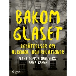 Bakom glaset : berättelser om alkohol och relationer