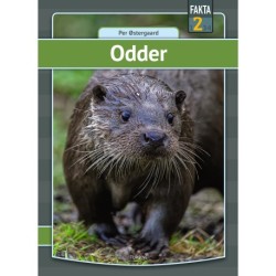Odder