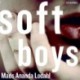 Soft Boys