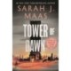 Tower of Dawn