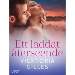 Ett laddat återseende - erotisk novell